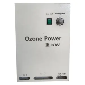 Hersteller von Ozon generatoren 100g 300g Ozon generator mit Teilen zur Abwasser behandlung und Desinfektion