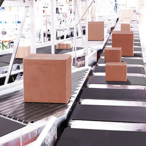 Sistema Automatico di Smistamento Lineare a Nastro Stretto per Cartoni, Imballaggi Flessibili, Confezionamento in Sacchetti, Articoli di Grandi Dimensioni - Nuovo Origine Cina - Product Image 3