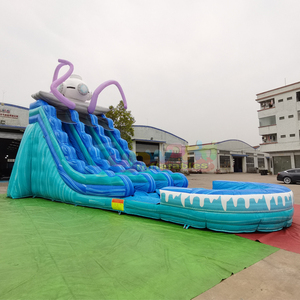 Castillo inflable comercial de doble carril para fiestas infantiles con tobogán acuático profundo y piscina - Product Image 1