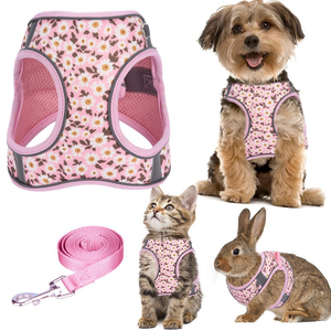 Custom Personalized Breathable Simple Solid Leather Fashion No Choke Dog <b>Cat</b> Harness Safety Walking Reflective Step Cute Pet - Product Image 5