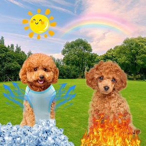Breathable Mesh Summer Dog <b>Cooling</b> Vest for Dogs Evaporative Pet <b>Cooling</b> Vest with Reflective Strip <b>Jacket</b> Ice Dog <b>Cooling</b> Vest - Product Image 3