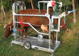 Chute de sabot de bétail Chute de coupe de sabot de bétail Machine de chute de coupe de sabot de bétail Électrique robuste pour les animaux de la ferme - Product Image 2