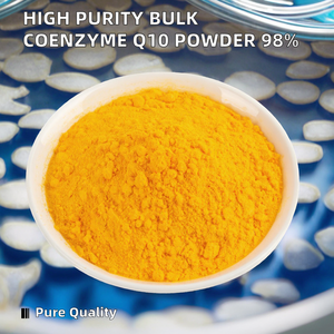 Poudre de Coenzyme Q10 Haute Pureté Faible en Sucre OEM/ODM pour Hommes : Soutien Énergétique et Développement Musculaire WELLNATURE - Product Image 2