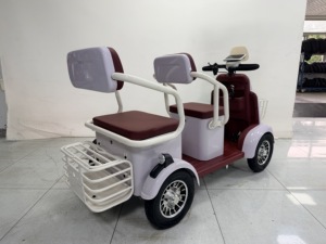Cuatriciclo Eléctrico de Ocio de 600W, Más Vendido, con Marco de Acero de Bajo Carbono SPCC, Neumático de Vacío 3.00-8 y Freno de Tambor Trasero - Product Image 5