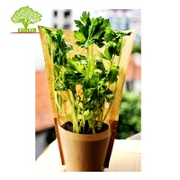 Manchons en papier kraft biodégradable pour fruits / légumes / herbes / fleurs en pot