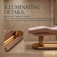 Lit de beauté électrique de luxe en cuir rose pour salon de beauté, avec commande au pied LED, lit de spa facial, lit de massage médical pour cils