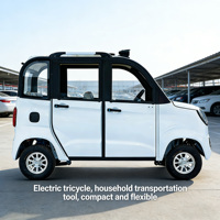Véhicule électrique pour adultes, hautement recommandé, qualité export, mini-voiture électrique pour les trajets en ville, prix abordable, facile à conduire