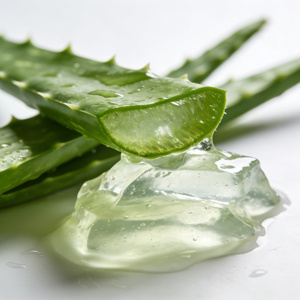 Arôme naturel d'<span class=keywords><strong>aloe</strong></span> <span class=keywords><strong>vera</strong></span> : Essence rafraîchissante et apaisante pour les boissons, les soins de la peau et les aliments fonctionnels - Product Image 1