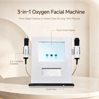 Appareil facial à oxygène 3 en 1 avec bulles d'oxygène CO2 pour les soins quotidiens de la peau en salon professionnel