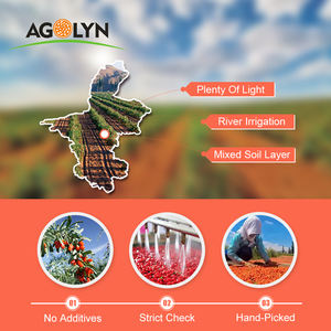 AGOLYN-baya de Goji de Lycium Barbarum, bayas de Wolfberry secas, en venta - Product Image 3