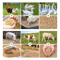 Fabricant de granulés d'aliments pour animaux de ferme, diesel, structure compacte, faible vibration, pour la volaille et les lapins de jardin