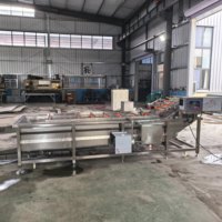Volledig automatische roestvrijstalen fruit- en groentewasmachine met motor voor sojabonen en maïs, capaciteit 100-500 kg/uur