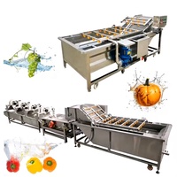 Équipement de nettoyage automatique efficace pour légumes-feuilles à bulles d'air, machine à laver les fruits, les tomates et les pommes