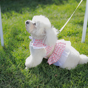 Luxury Shirt Dress Pets Outfits Leash Clothes Small Dog Party Skirt <strong>Puppy</strong> Sublimation Custom Dog <strong>Harness</strong> <strong>Design</strong> Dog Summer - Product Image 4