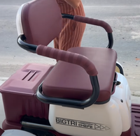 Scooter électrique personnalisé 10 pouces 600w/800w/1000w 60V/72V 3 vitesses, tricycle à pousser/tirer, trois places, 35 km d'autonomie