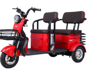 Potente Triciclo Elettrico per Zone Montane - Product Image 1