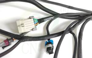 ホーリーEFI配線ハーネス558-102 LS1/6メインハーネス（HP EFIドミネーターEFIおよびターミネーターXシステム用） - Product Image 5