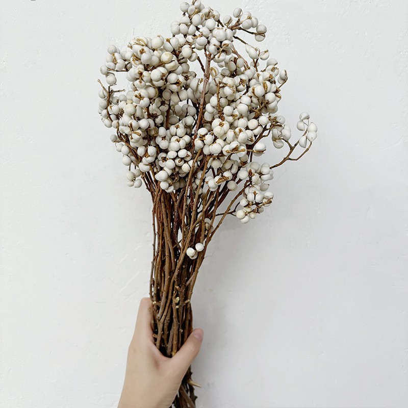 farmhouse frosted dried persimon