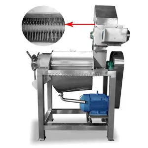 Máquina comercial para hacer jugo de fruta máquina industrial de jugo en espiral de pulpa de mango