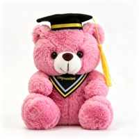 Ours en peluche de graduation avec toque de diplômé, ours en peluche multicolore, cadeau souvenir de graduation, peluche personnalisée OEM ODM