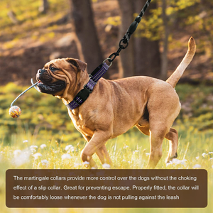 Adjustable Soft <b>Padded</b> Reflective Multi-functional Dog Leash Durable Nylon Retractable Quick Release for Daily <b>Walking</b> Training - Product Image 4