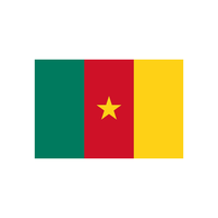 Drapeau national du Congo imprimé en sérigraphie avec logo personnalisé pour le sport et les jeux, vente en gros