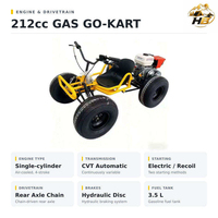 Kart à pédales pour adultes personnalisable avec moteur refroidi par air de 212 cm3, réservoir de carburant de 3,5 L, frein à disque hydraulique arrière pour pistes extérieures