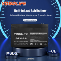 Système d'éclairage solaire 12V CC avec lecteur MP3, mini générateur solaire 60W, batterie solaire Yobolife avec stockage de batterie au plomb-acide
