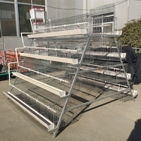 Cage à poulets automatique complète à 3/4 niveaux pour l'élevage avicole, capacité de 96/120/128/160 oiseaux, système de batterie en fil d'acier, cage à œufs