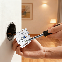 Variateur mural rotatif Zigbee Bilihondim EU 1 canal 200W compatible Google Assistant, contrôle intelligent de la maison, installation sans fil facile