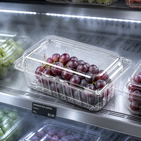Boîtes d'emballage en PET transparent perforées pour fruits frais (tomates, cerises, raisins) – Contenants en plastique pour fruits en coquille