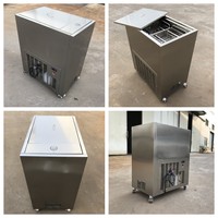 Machine commerciale de fabrication de bâtonnets de crème glacée en acier inoxydable, moules à bâtonnets de yaourt et de fruits, armoire de congélation