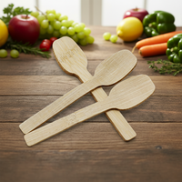 10cm Grote Bamboe Lepel met Lasergegraveerd Logo, Gladde Schaal, Klassiek Design, Volledig Bamboe, voor het Proeven van Eten