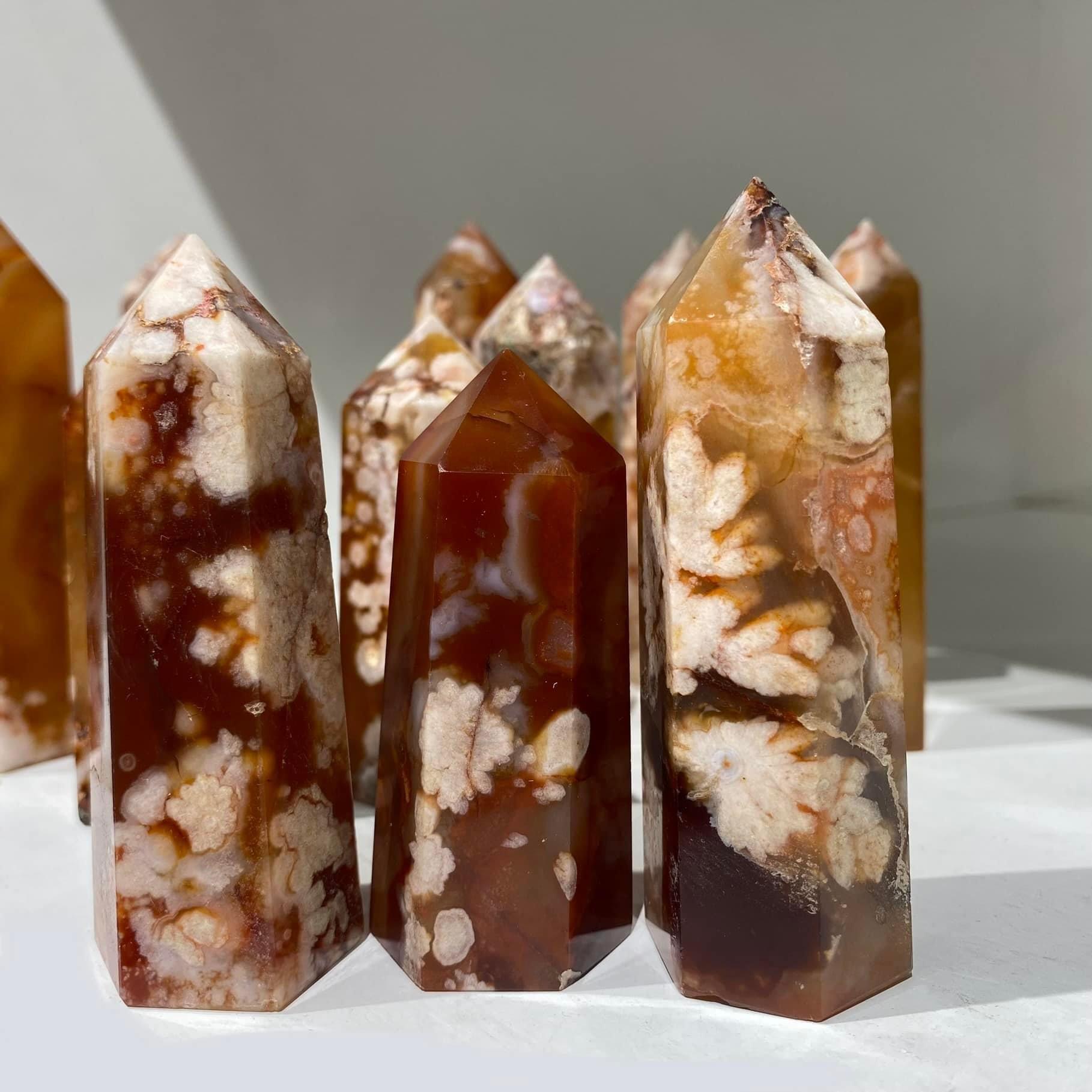 โมราดอกไม้สีแดง