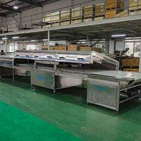 Fabricants leaders de tunnels de refroidissement entièrement automatiques en acier inoxydable 304 / tunnels de refroidissement pour chocolat / machines de tunnels de refroidissement pour gâteaux