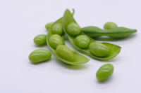 Vente en gros de haricots edamame surgelés en vrac, soja pelé non-OGM pour l'exportation |   Fournisseur de légumes sains prêts à cuisiner
