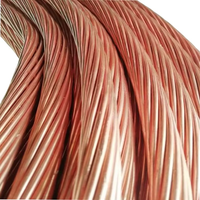 Cable de Conexión a Tierra Flexible de Cobre Trenzado Resistente al Desgaste para Maquinaria