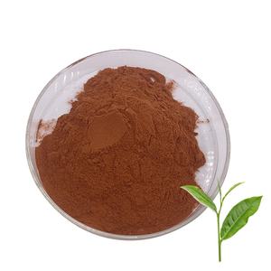 Fabriekslevering Groene Thee <span class=keywords><strong>Extract</strong></span> Polyfenol <span class=keywords><strong>98</strong></span>% Egcg Groene Thee <span class=keywords><strong>Extract</strong></span> <span class=keywords><strong>Capsules</strong></span> Groene Thee <span class=keywords><strong>Extract</strong></span> Tabletten - Product Image 2