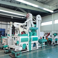 Prix d'usine 100-2000 kg/h Grande machine à décortiquer le riz 220V 380V Machine à blanchir le riz Portable Machine à décortiquer le riz moderne