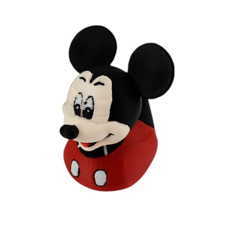 Canard Mickey