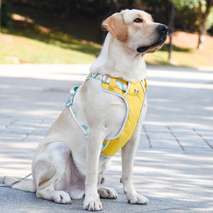 Lüks High End kişiselleştirilmiş özel tasarımcı logosu taktik hiçbir çekme ayarlanabilir pamuk moda kürk büyük küçük yastıklı köpek koşum - Product Image 6