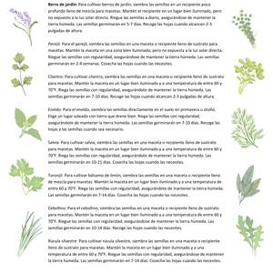 14 espèces de plantes biologiques-sans OGM-Set d'herbes culinaires - Product Image 5