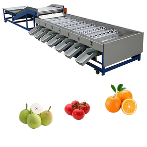 Machine automatique de tri et de calibrage des fruits et légumes pour pommes de terre, tomates, avocats, bleuets, cerises - Acier inoxydable 304 - Product Image 4