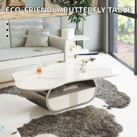Mesa de Centro Delanto Moderna, Resistente y Ecológica, con Superficie de Piedra Sinterizada, Estante de Almacenamiento Ovalado, Cajón y Base de Acero Inoxidable MDF