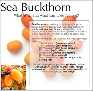 厂家直销沙棘提取物黄酮类10% 沙棘粉 - Product Image 5