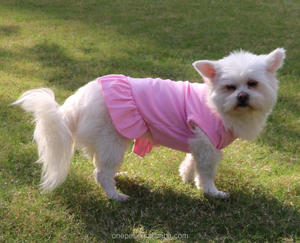 <b>Teddy</b> Cat Dog Clothes Sleeveless Solid Plain Pet Puppy T Shirt Skirt Breathable Summer Dress XS-3XL - Product Image 6