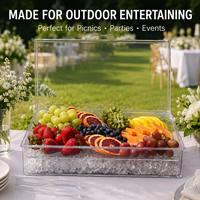 Hot Sale Transparent PS Plastic Chilled Fruit Platter With Flip Lid for Backyard Events BBQ Buffet Food Serving