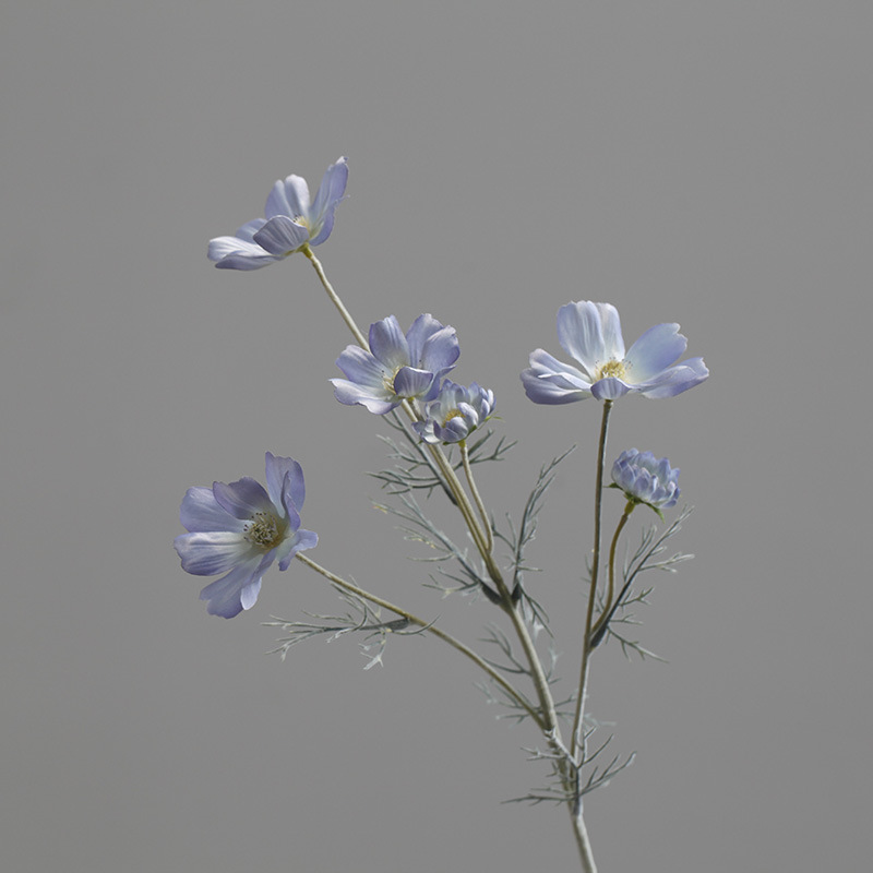 Bleu clair