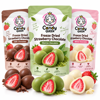 Fraises lyophilisées enrobées de chocolat en gros, bonbons aux fruits FD, chocolat composé, en vrac, Halal, OEM, emballage personnalisé, snacks classiques