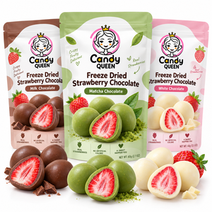Groothandel <span class=keywords><strong>Chocolade</strong></span> Bedekte Gedroogde Aardbeien FD Fruit Snoep Compound <span class=keywords><strong>Chocolade</strong></span> Bulk Halal OEM Aangepaste Verpakking Klassieke Snacks - Product Image 5